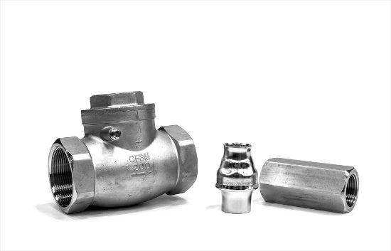check valves Stainless Steel