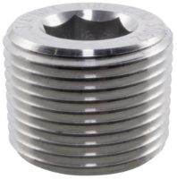 Socket Head Plug BSPT 316 Stainless Steel